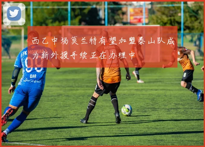 西乙中场莫兰特有望加盟泰山队成为新外援手续正在办理中
