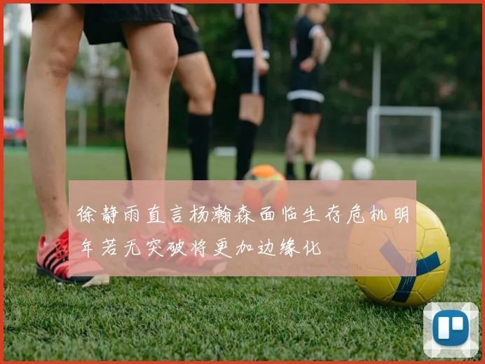徐静雨直言杨瀚森面临生存危机明年若无突破将更加边缘化